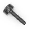 Raf Thumb Screw, M5 Thread Size, Stainless Steel, 14 mm Lg M3481-SS